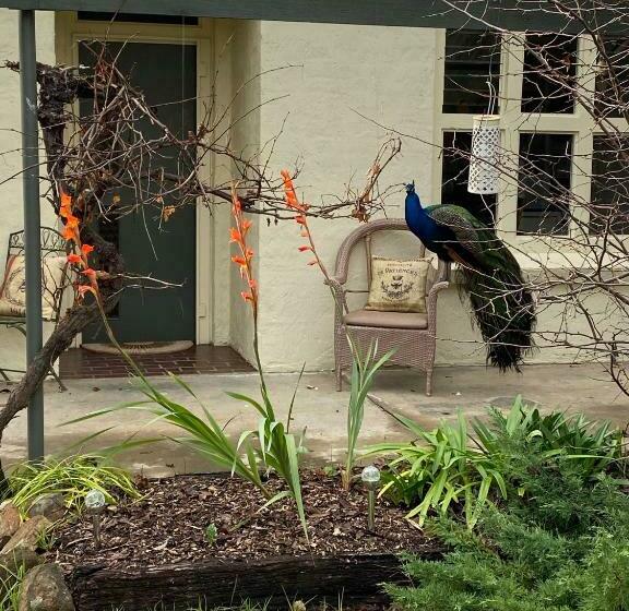 חדר משפחתי נוף לגינה, The Old Butter Factory At Springhurst Estate
