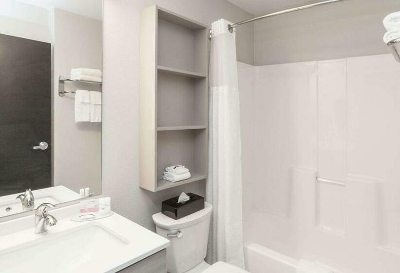 Студия Стандарт, Microtel Inn & Suites By Wyndham West Fargo Near Medical Center