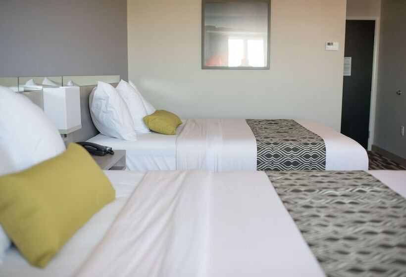 身障者適用スタンダードルーム, Microtel Inn & Suites By Wyndham West Fargo Near Medical Center