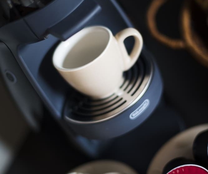 اتاق خانوادگی, The Rocks Motel