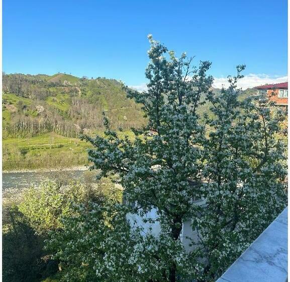 דירת חדר, Kayra Beren Apart 2