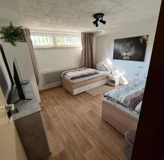 Номер Стандарт, Haus Haller 5