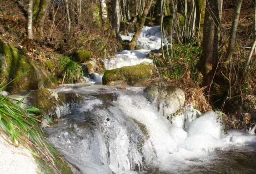 غرفة قياسية, Roulotte Cosy Avec Kitchenette, Ruisseau Apaisant Et Espace Bien être, Nuit Insolite à Ferdrupt   Fr