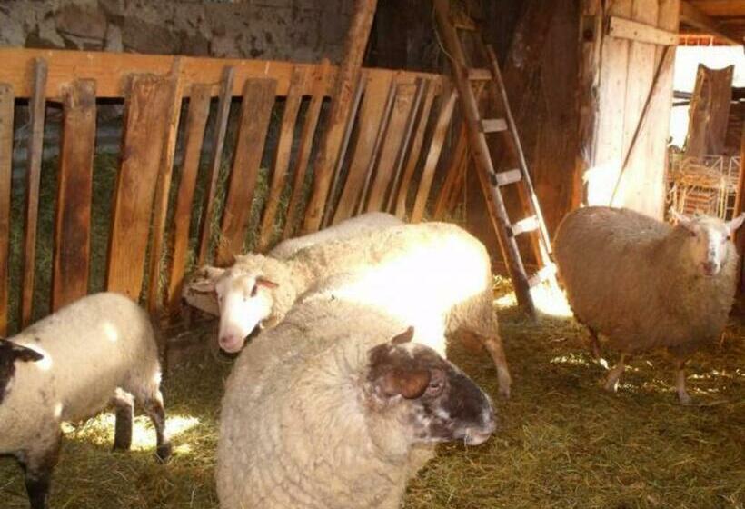 غرفة قياسية, Roulotte Cosy Avec Kitchenette, Ruisseau Apaisant Et Espace Bien être, Nuit Insolite à Ferdrupt   Fr