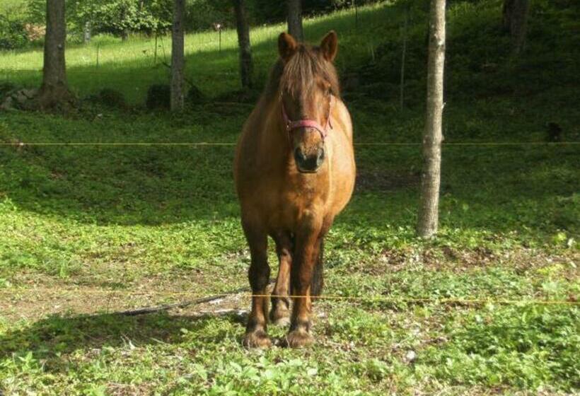 غرفة قياسية, Roulotte Cosy Avec Kitchenette, Ruisseau Apaisant Et Espace Bien être, Nuit Insolite à Ferdrupt   Fr