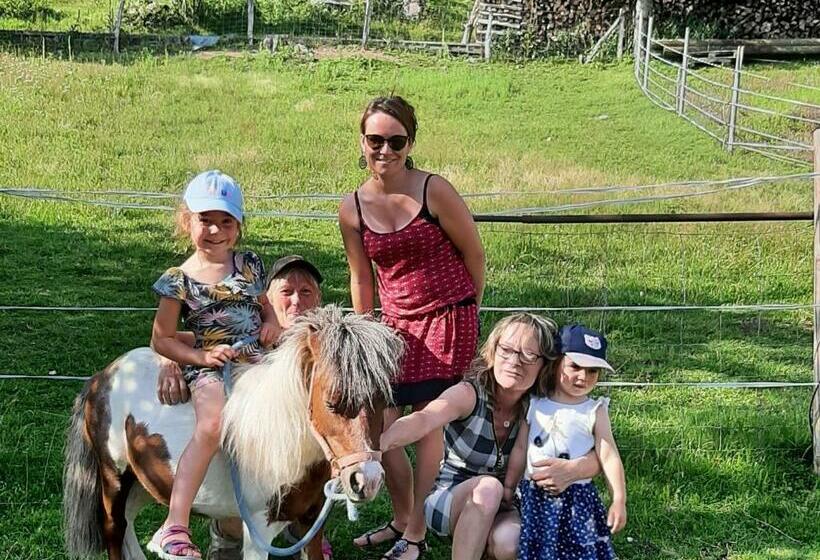 غرفة قياسية, Roulotte Cosy Avec Kitchenette, Ruisseau Apaisant Et Espace Bien être, Nuit Insolite à Ferdrupt   Fr