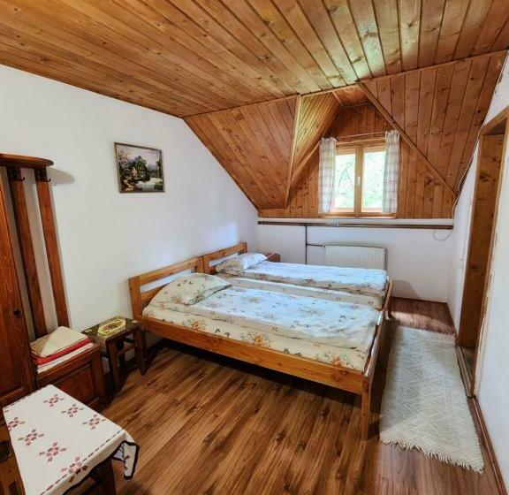 חדר סטנדרט, Pensiunea Susman