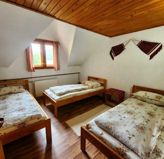 חדר סטנדרט לשלושה, Pensiunea Susman