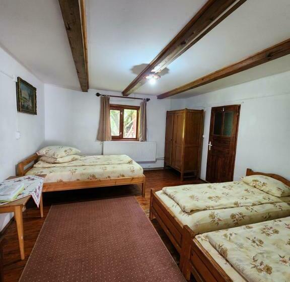 חדר סטנדרט לארבעה, Pensiunea Susman