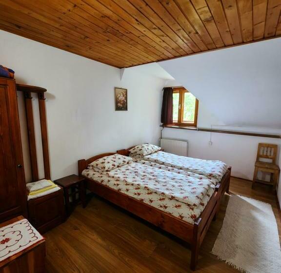 חדר סטנדרט, Pensiunea Susman