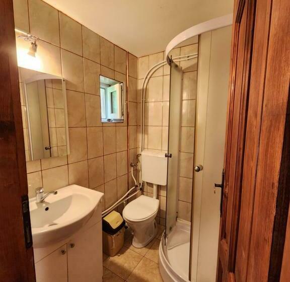 חדר סטנדרט לשלושה, Pensiunea Susman