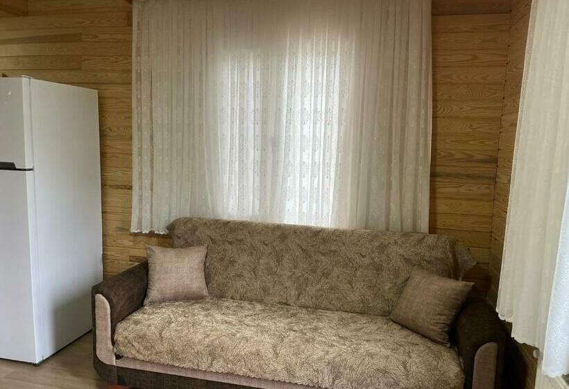 豪华套房, Espi̇ra Apart