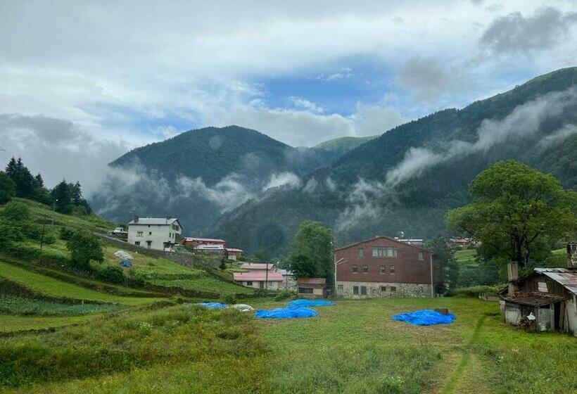 豪华套房, Espi̇ra Apart