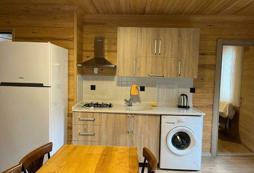 豪华工作室, Espi̇ra Apart