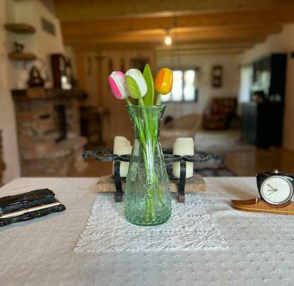 منزل غرفة نوم واحدة, La Patru Daci