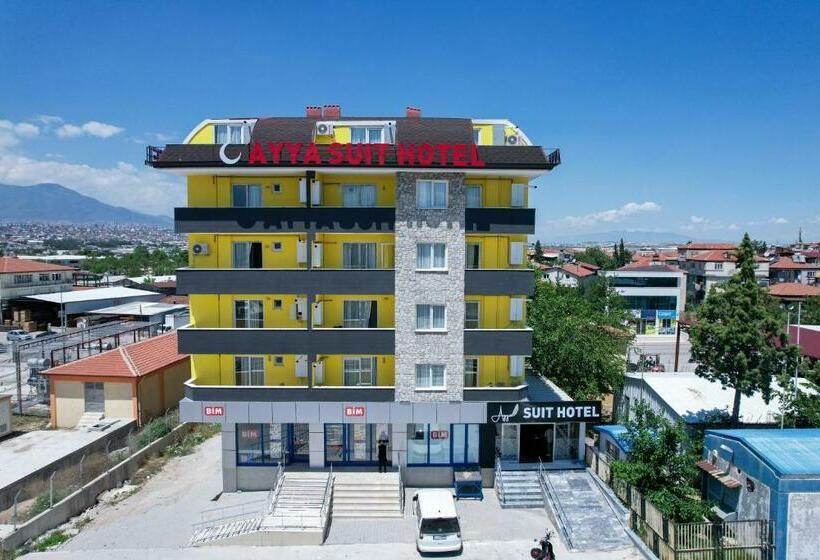 Апартаменты 1 Спальня, Ayya Sui̇t