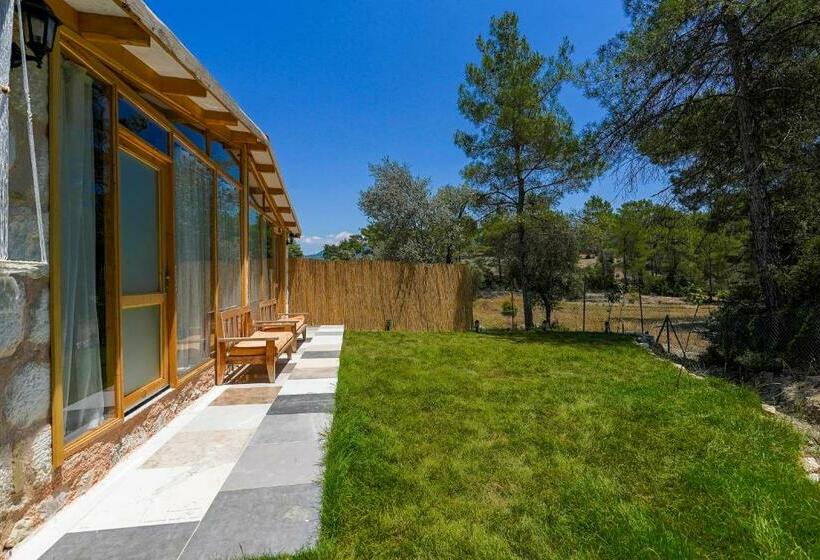 إستوديو قياسى, Casa De Sherys