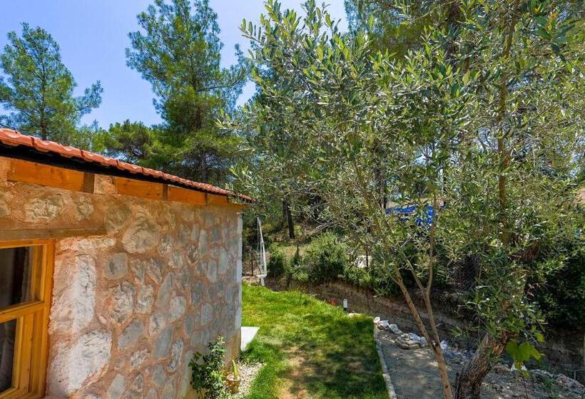 إستوديو قياسى, Casa De Sherys