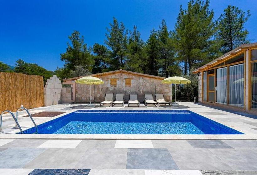 Студия Стандарт, Casa De Sherys