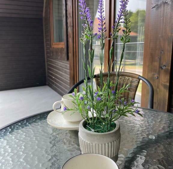 کلبه ییلاقی, Horizont Idéző Parkmotel