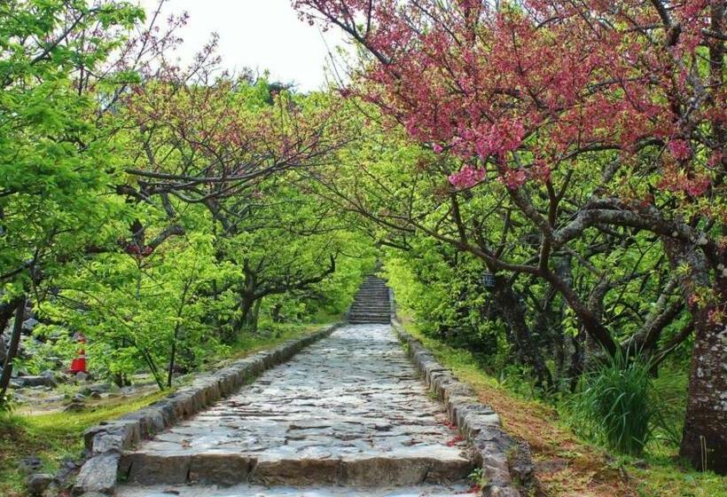 إستوديو قياسى, Resort Hotel Buena Vista Nakijin   Vacation Stay 57850v