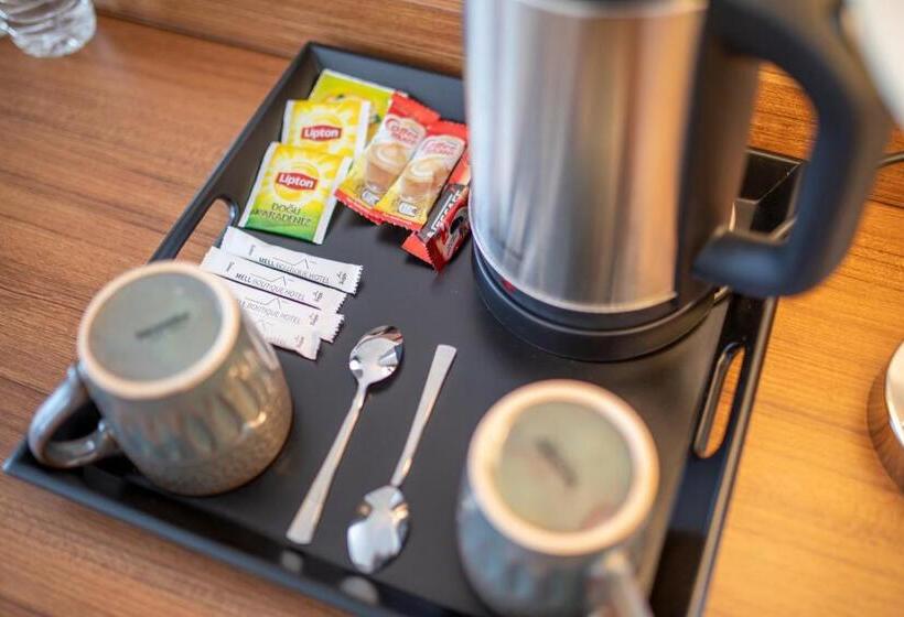 חדר סטנדרט לארבעה נוף לים, Mell City Hotel Trabzon