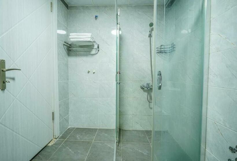 غرفة قياسية ثلاثية, Yaşam