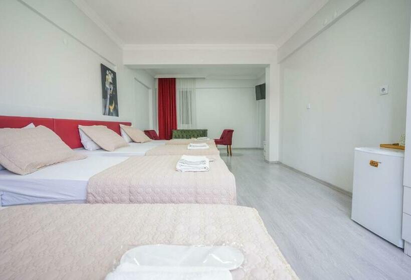 غرفة قياسية رباعية, Yaşam