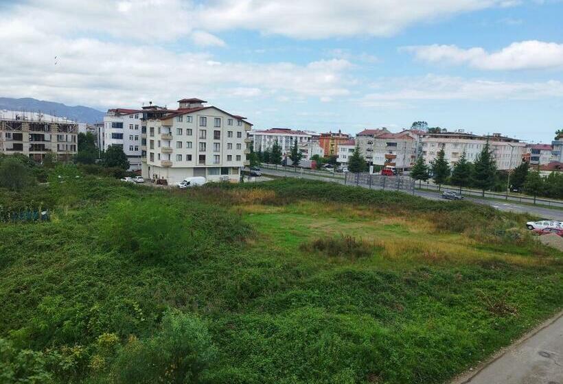 דירת שלושה חדרים, Pusula Motel