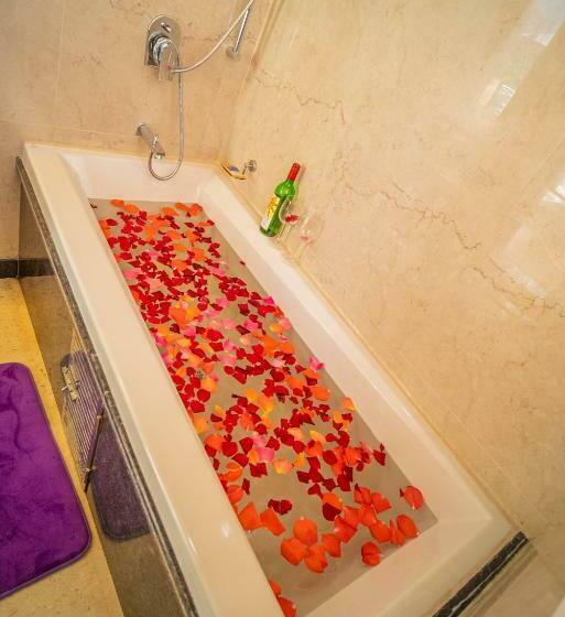 Президентский Люкс, Dhauladhar Heights Resort