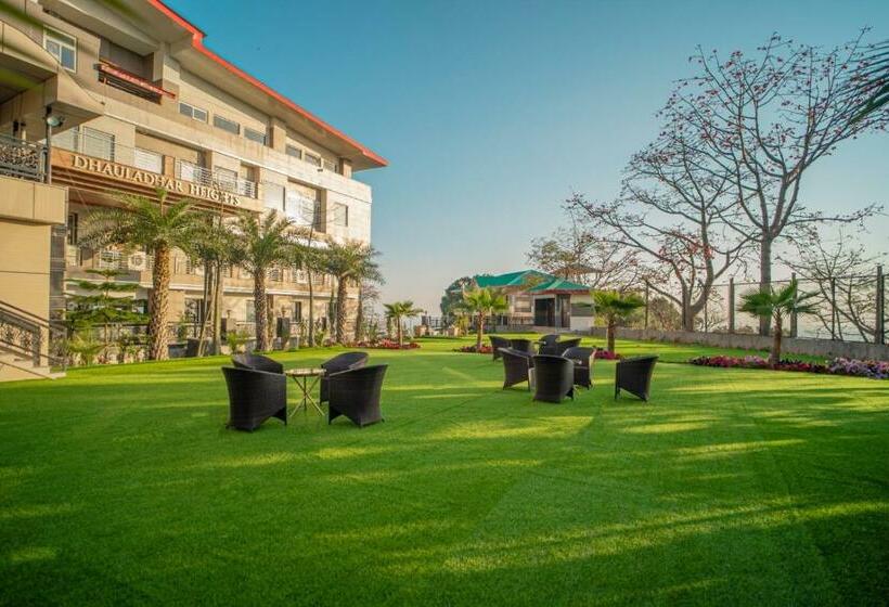 Президентский Люкс, Dhauladhar Heights Resort