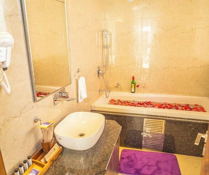 سوییت اجرایی, Dhauladhar Heights Resort