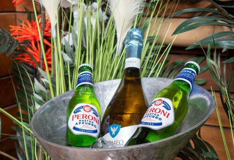 شقة غرفة واحدة مزودة بتراس, The Sea Lounge Accomodation