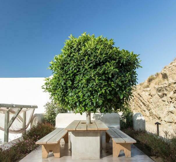 וילה בת חדר שינה 1, Halcyon Suites And Villas Naxos