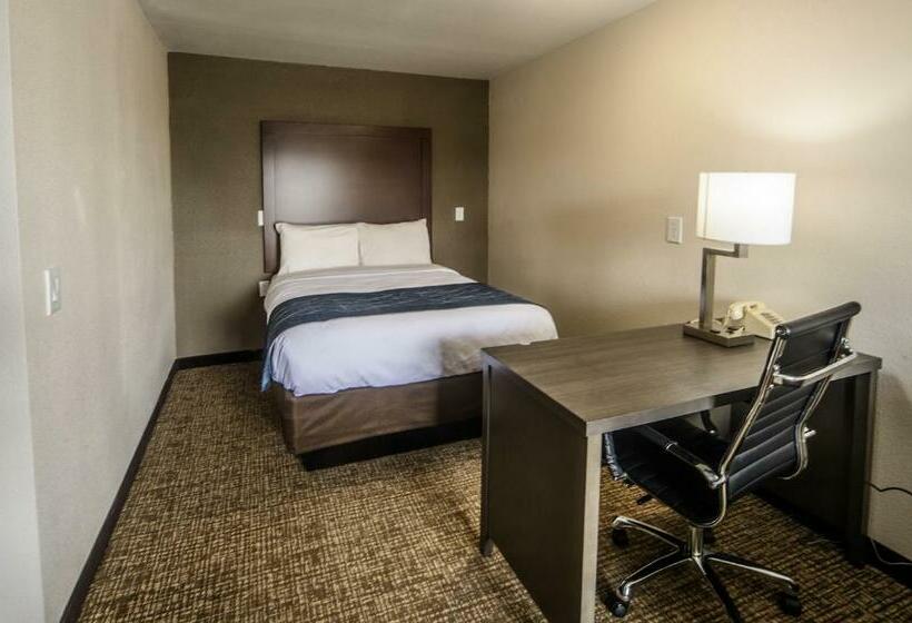 جناح سرير كينج, Richland Inn