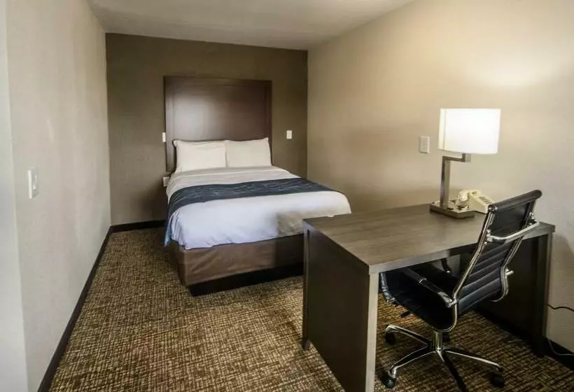 キングサイズベッドのスイートルーム, Richland Inn