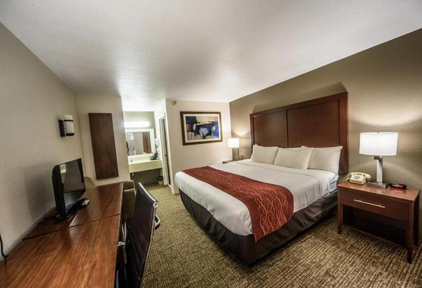 غرفة قياسية سرير كينج, Richland Inn