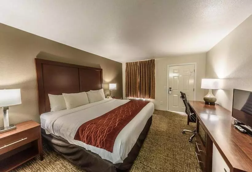 身障者適用キングサイズベッドルーム, Richland Inn