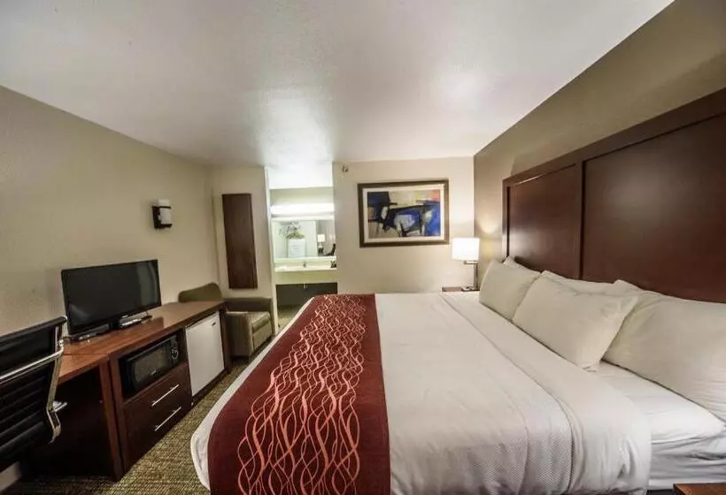 身障者適用キングサイズベッドルーム, Richland Inn