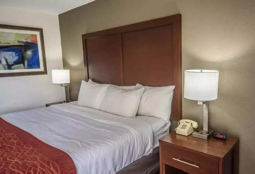 身障者適用キングサイズベッドルーム, Richland Inn