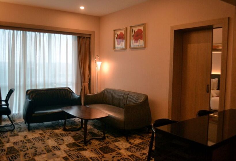 Полулюкс, V8