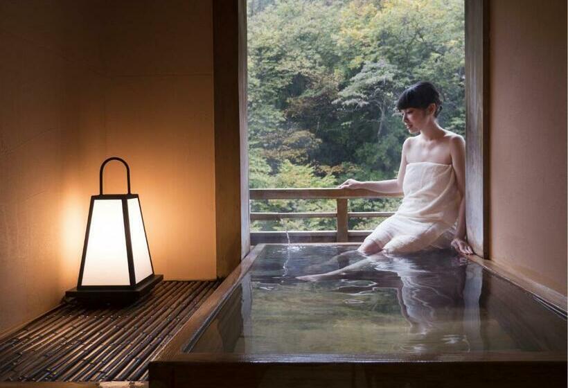 Номер Стандарт, Shima Onsen Toshimaya