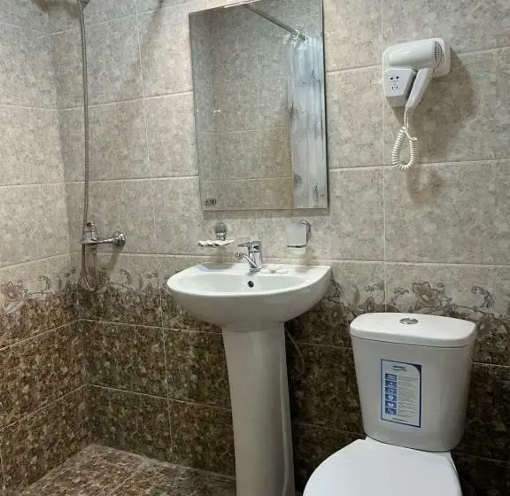 اتاق اکونومی, Asia Minor