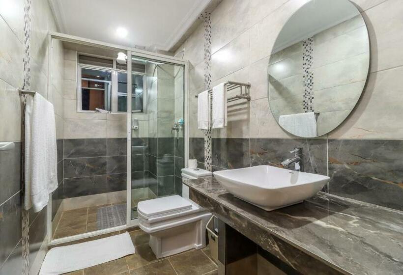 اتاق لوکس یک تخته, Dallas Premiere