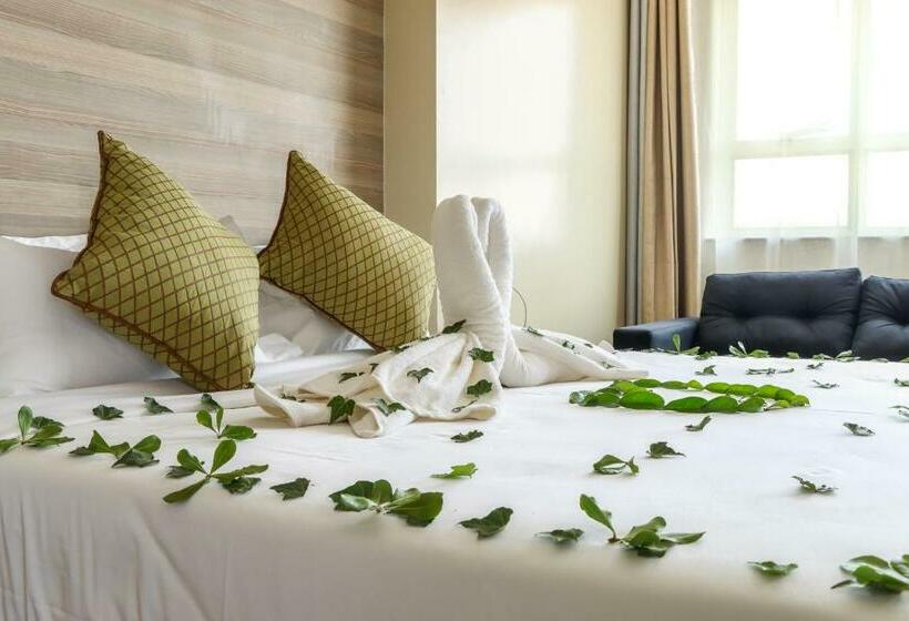 اتاق استاندارد, Dallas Premiere