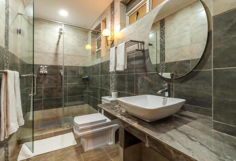 اتاق اکونومی یک تخته, Dallas Premiere