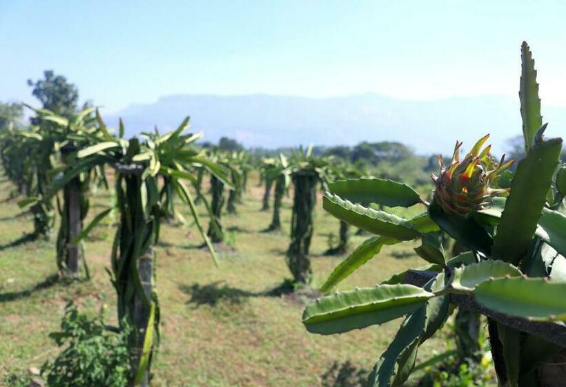 فيلا 3 غرف نوم, The Farm Retreat