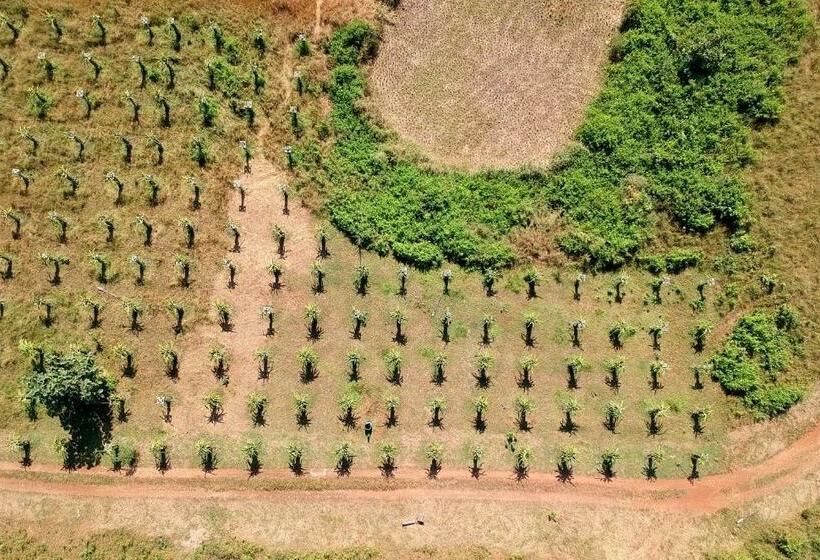 فيلا 3 غرف نوم, The Farm Retreat