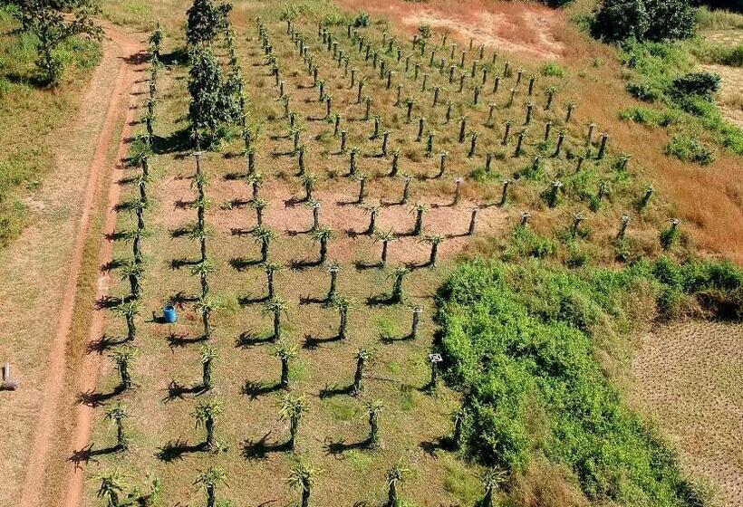 فيلا 3 غرف نوم, The Farm Retreat