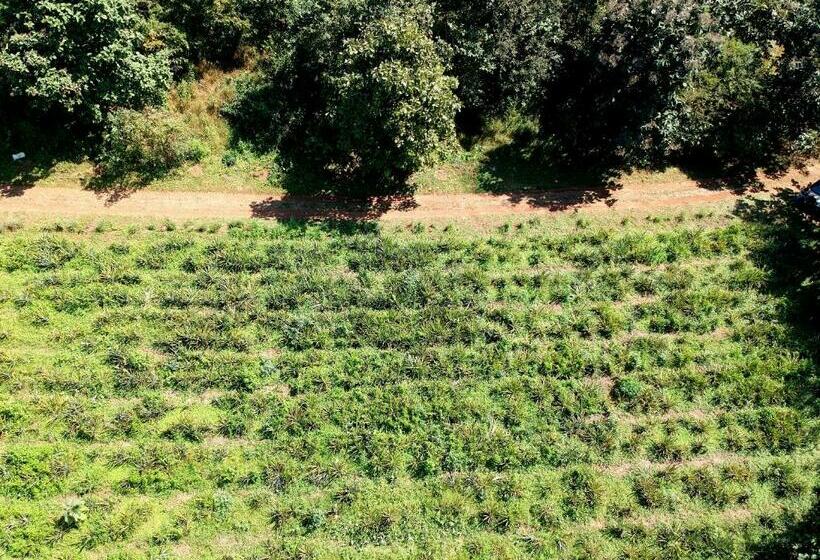 فيلا 3 غرف نوم, The Farm Retreat